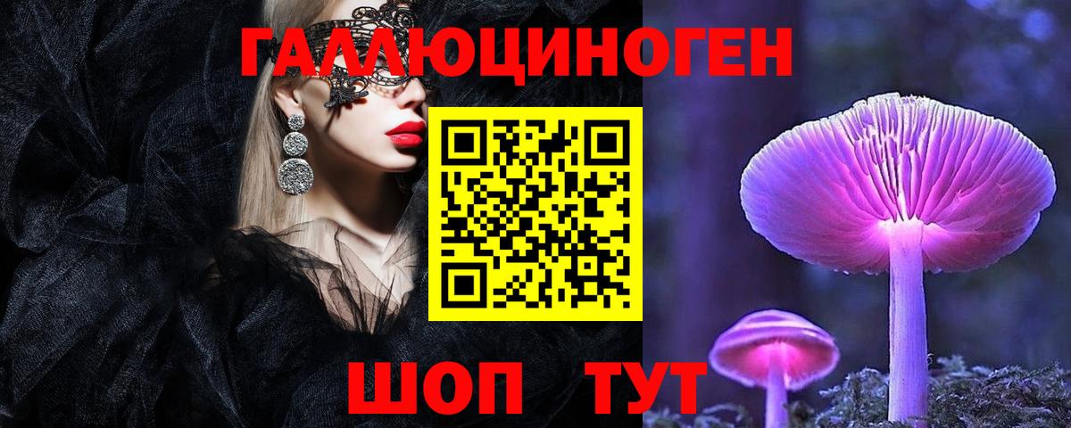 Черногорск  Псилоцибиновые грибы мицелий  Галлюциногенные грибы мицелий  Вход с VPN 