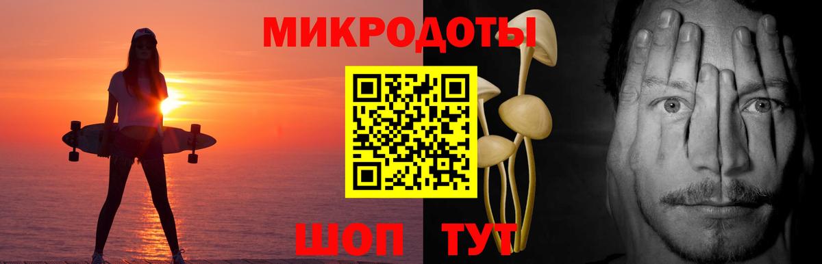Псилоцибиновые грибы мицелий Черногорск
